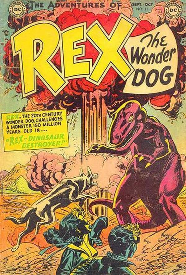 #11