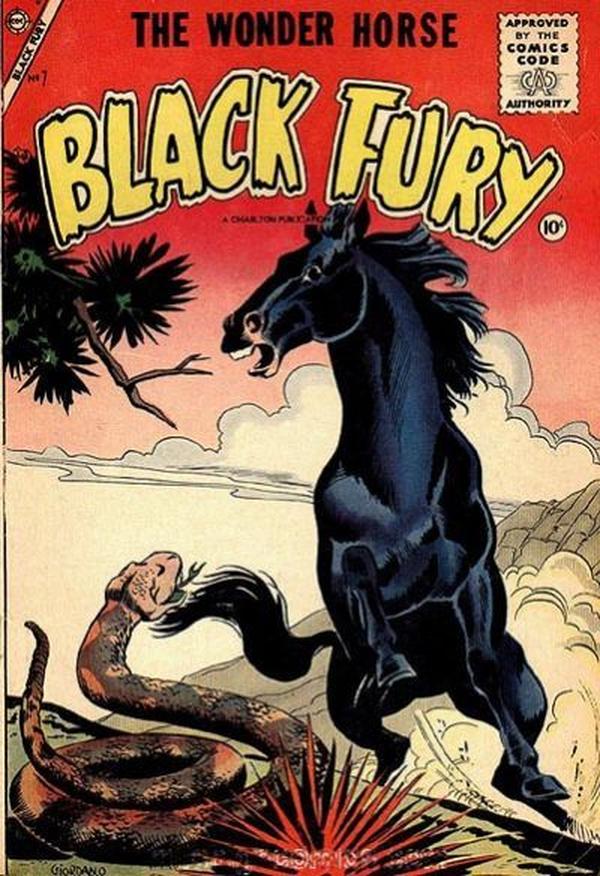 Black Fury #7 cover
