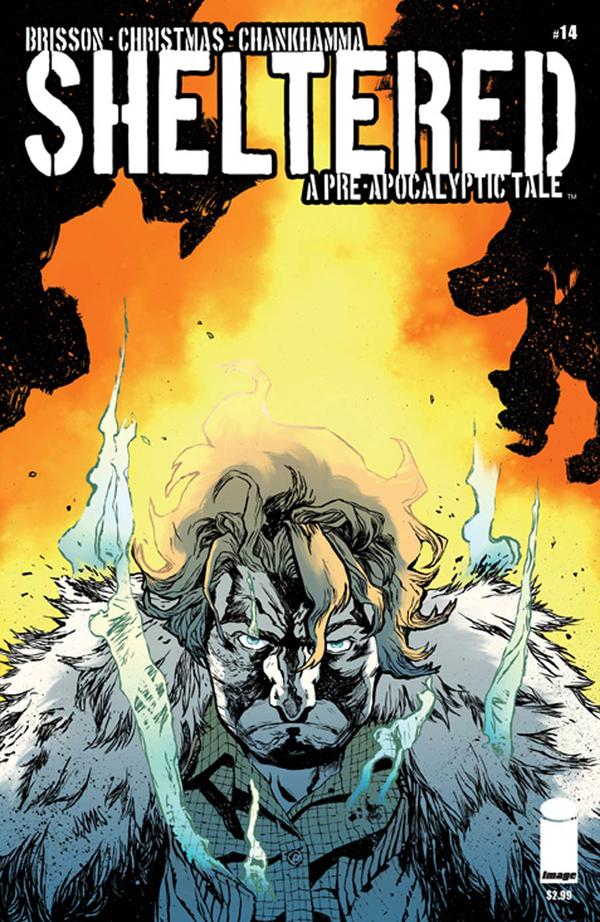 Sheltered #14 cover