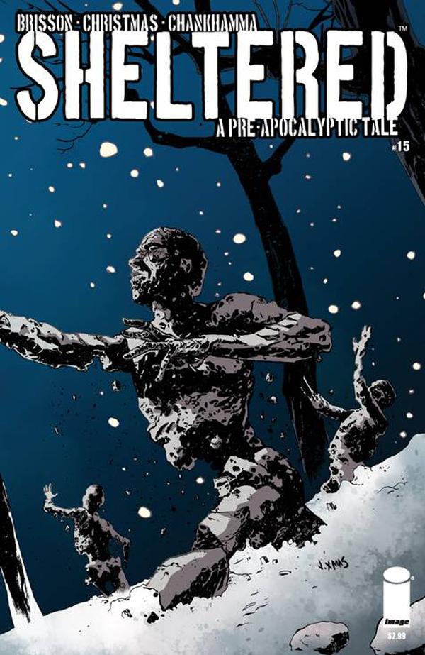 Sheltered #15 cover