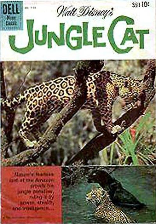 #1136