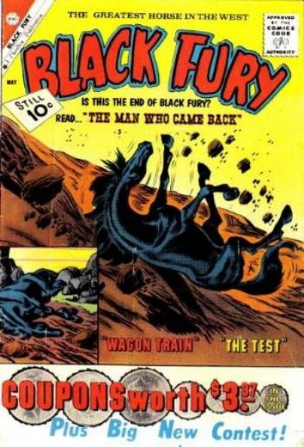 Black Fury #30 cover