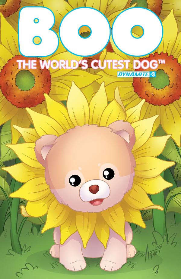 Boo, the World's Cutest Dog #3