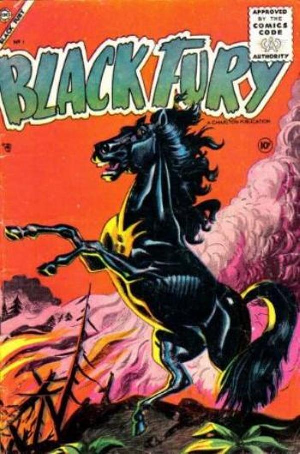 Black Fury