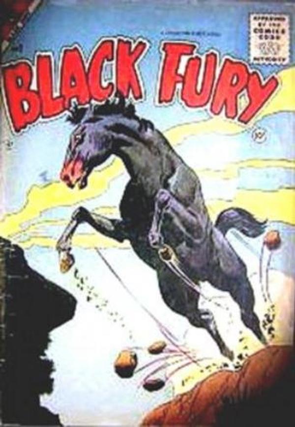 Black Fury #2 cover