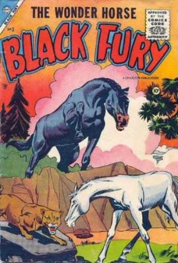 Black Fury #3 cover