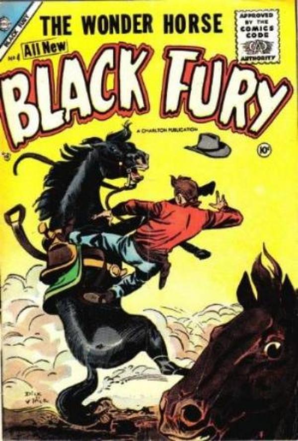 Black Fury #4 cover