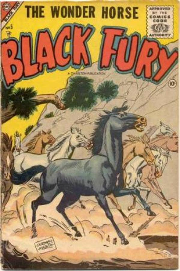 Black Fury #5 cover