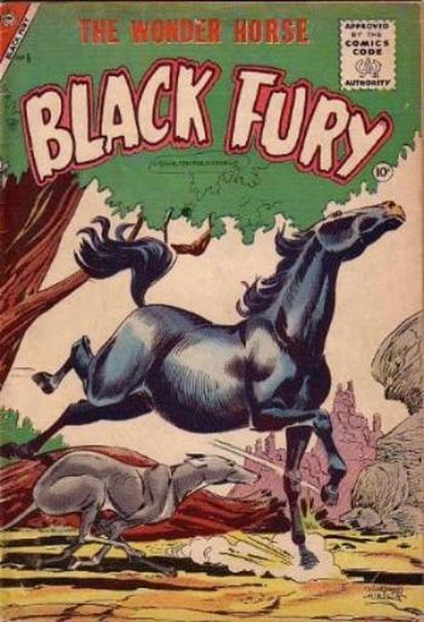 Black Fury #6 cover