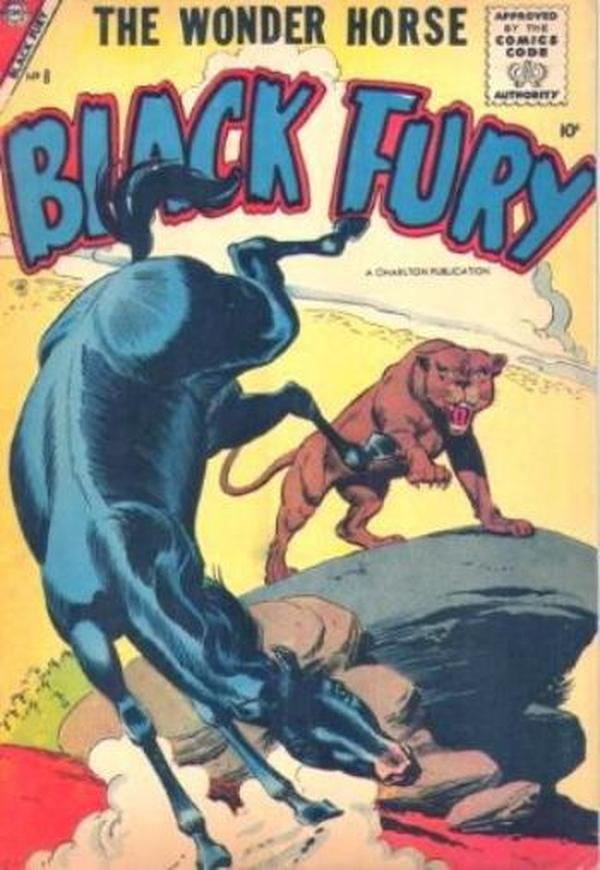 Black Fury #8 cover