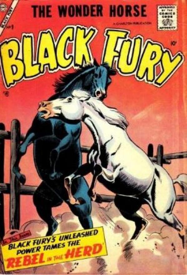 Black Fury #9 cover