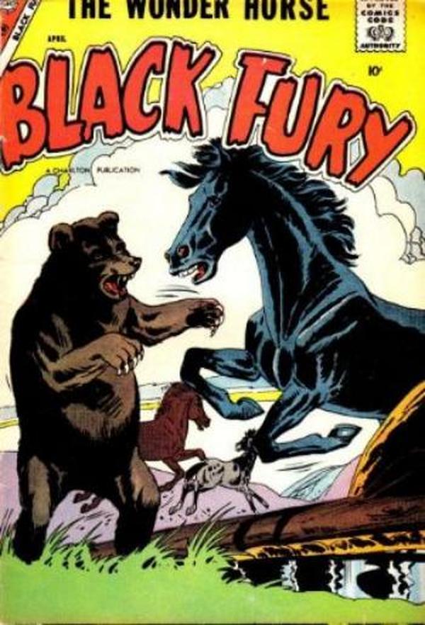 Black Fury #13