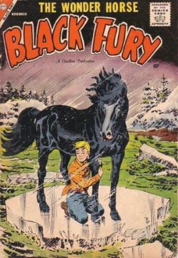 Black Fury #16 cover