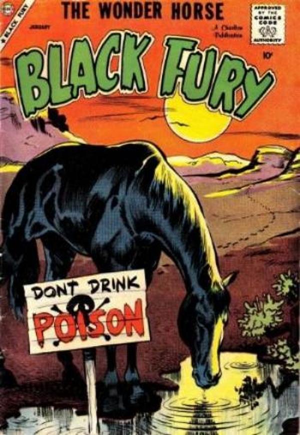 Black Fury #17 cover