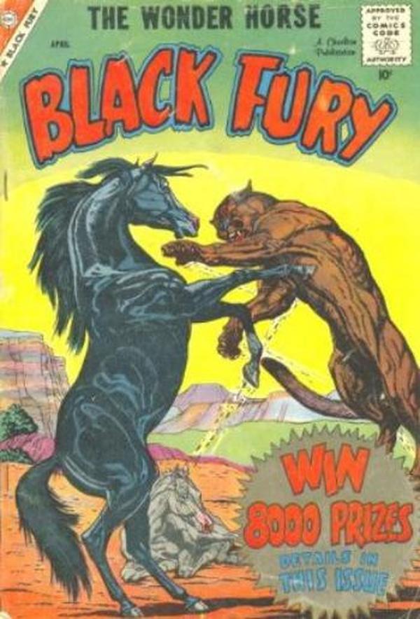 Black Fury #18 cover