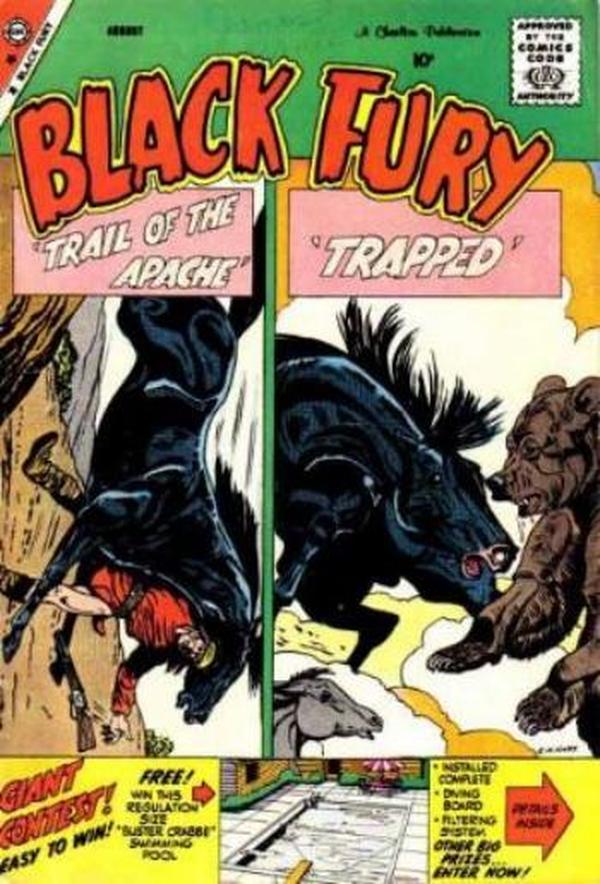 Black Fury #20
