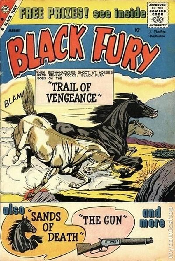 Black Fury #22 cover
