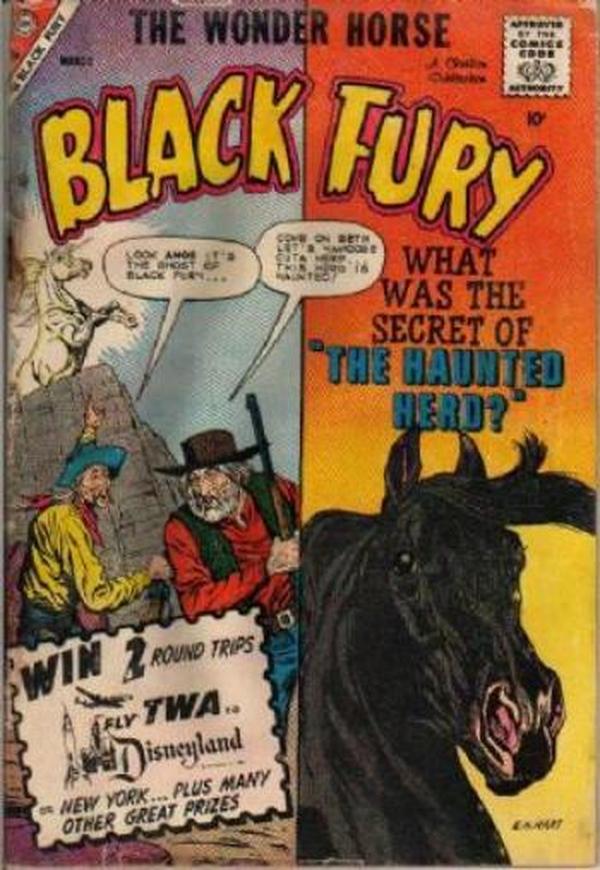 Black Fury #23