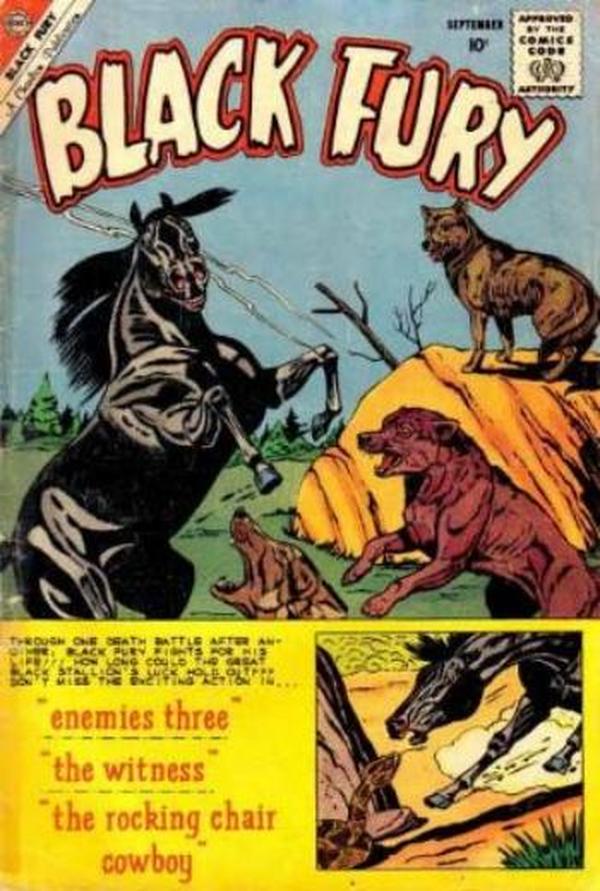 Black Fury #26 cover
