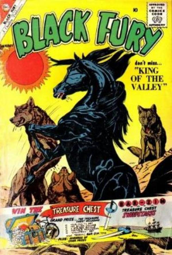 Black Fury #28 cover