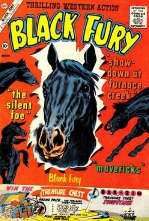 Black Fury #29 cover