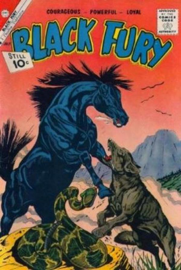 Black Fury #31 cover