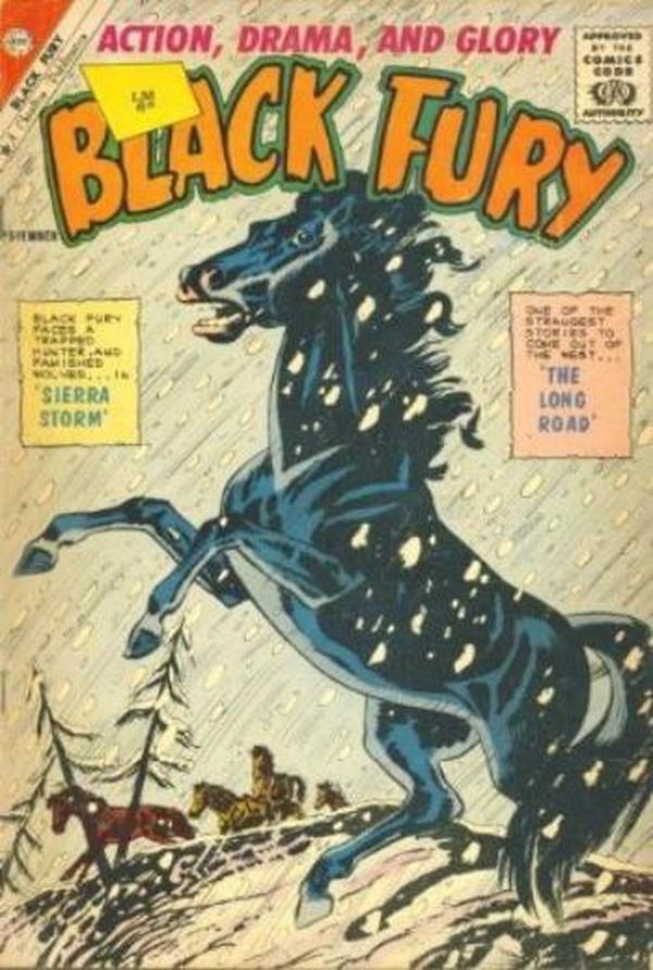Black Fury #33 cover