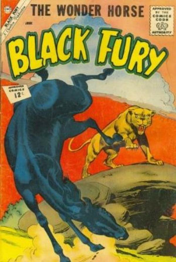 Black Fury #36 cover