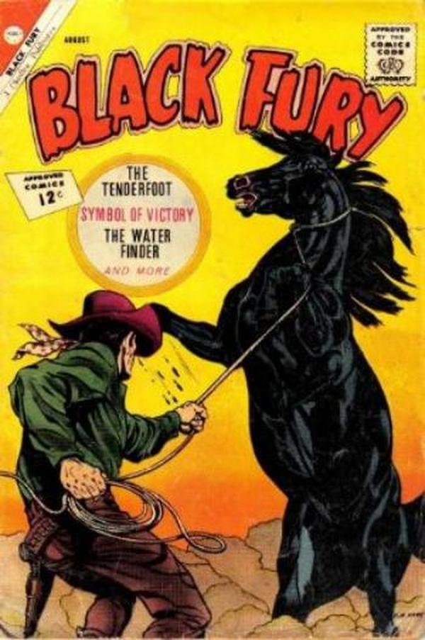 Black Fury #37 cover