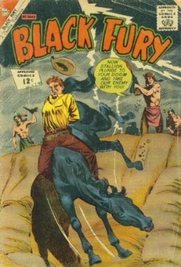 Black Fury #38 cover