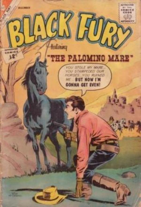 Black Fury #39 cover