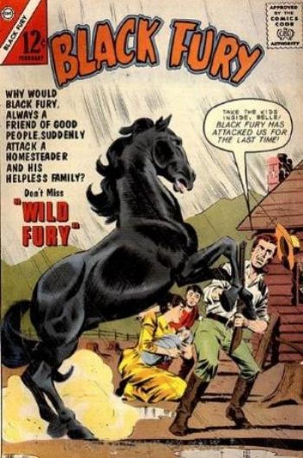 Black Fury #40 cover