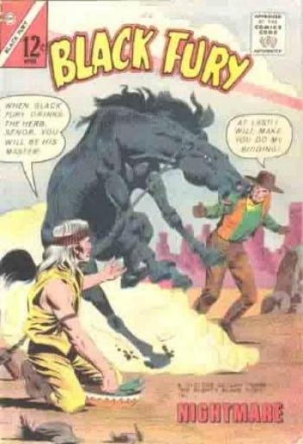 Black Fury #41 cover