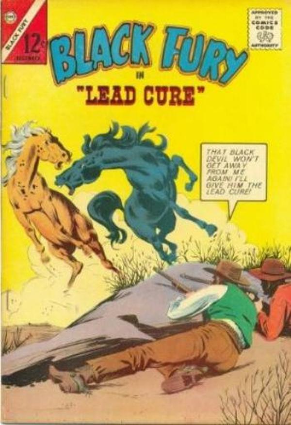 Black Fury #45 cover