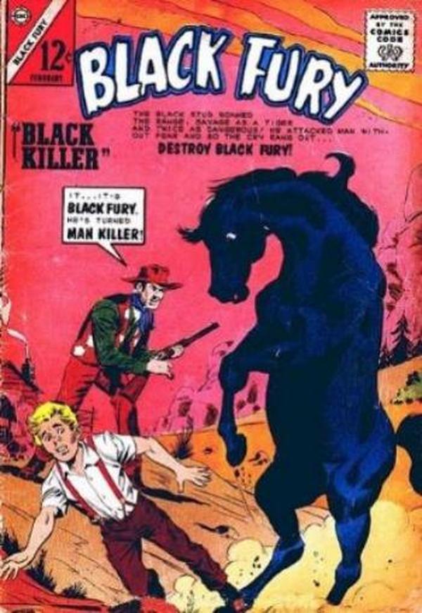 Black Fury #46 cover