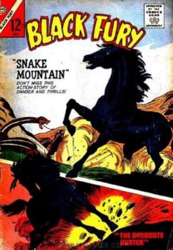Black Fury #48 cover