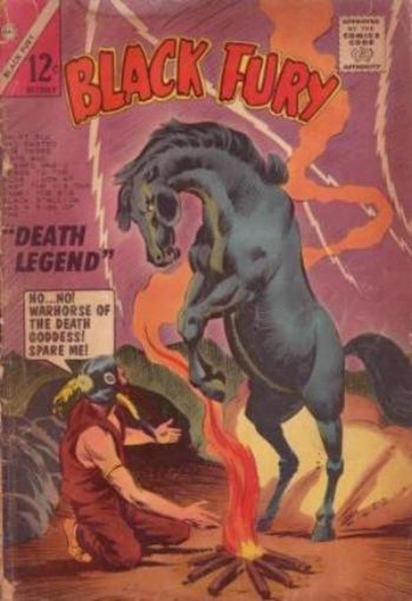 Black Fury #49 cover