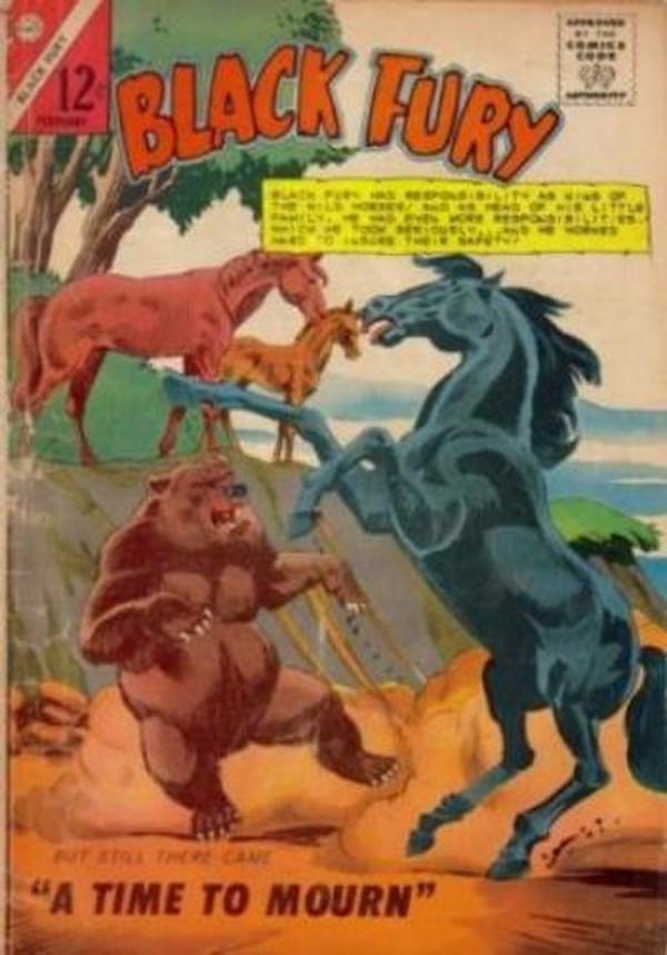 #51