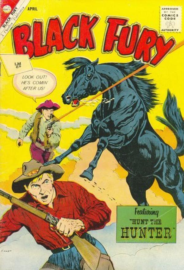 Black Fury #35 cover