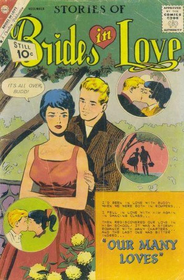 Brides in Love #27 cover