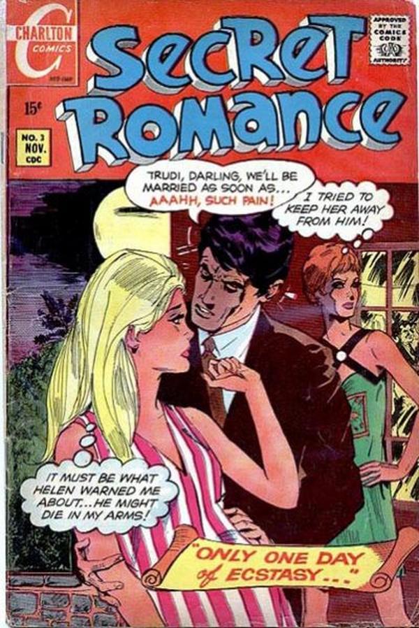 Secret Romance #3 cover