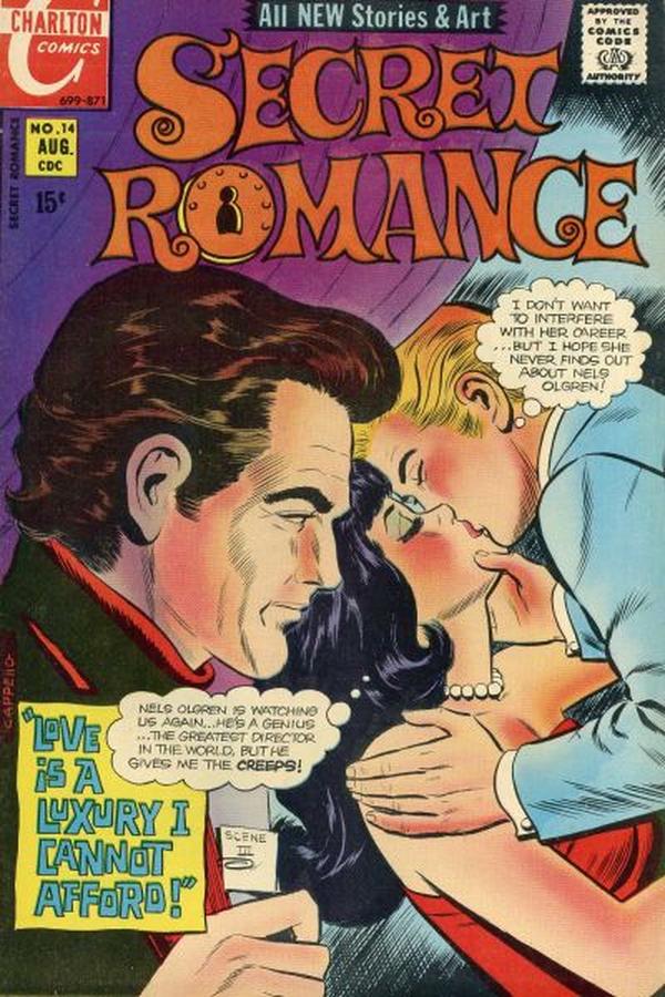 Secret Romance #14 cover