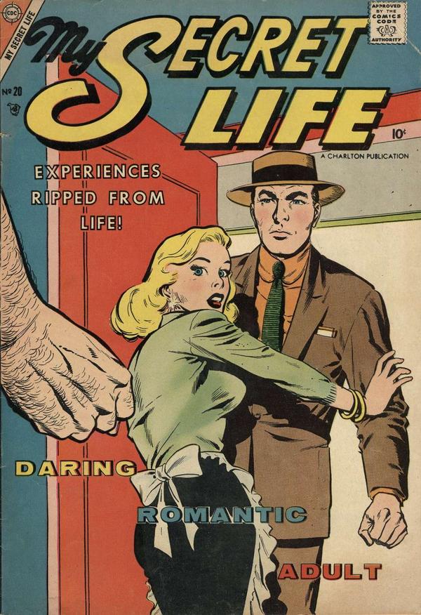 My Secret Life #20 cover