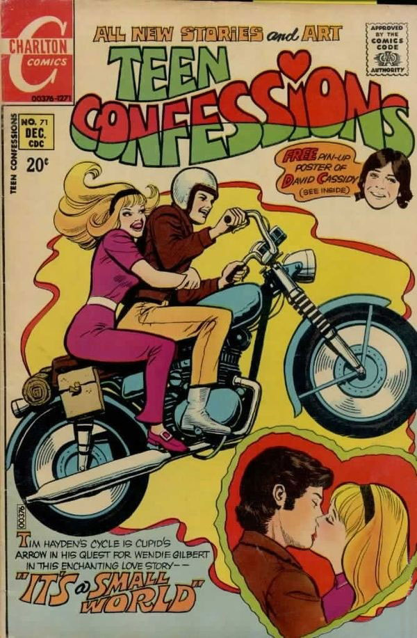 Teen Confessions #71 cover