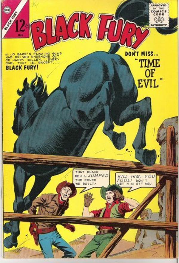 Black Fury #47 cover