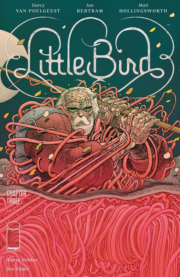 Little Bird #3 cover