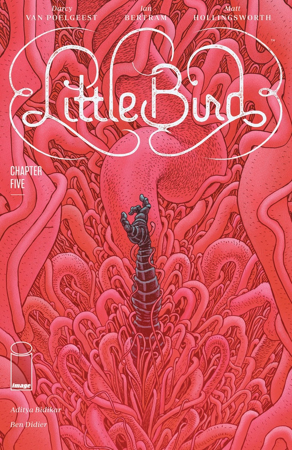 Little Bird #5 cover
