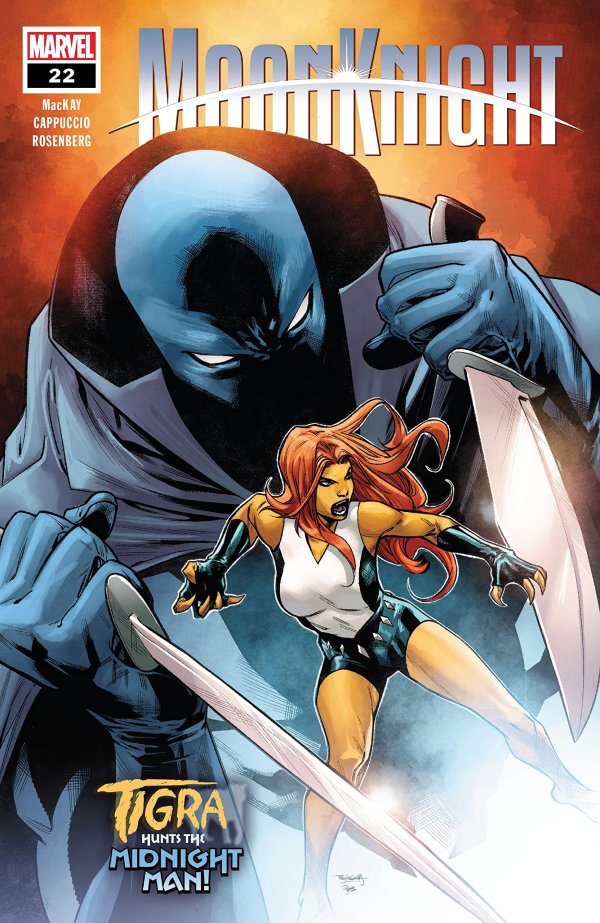 Moon Knight #22 cover