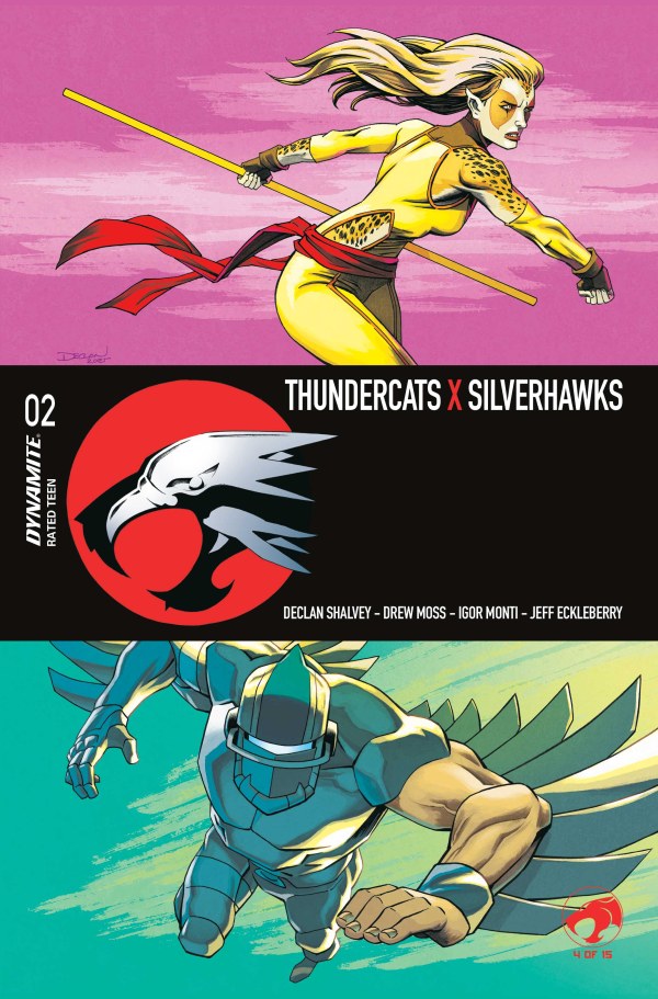 ThunderCats x SilverHawks #2 cover