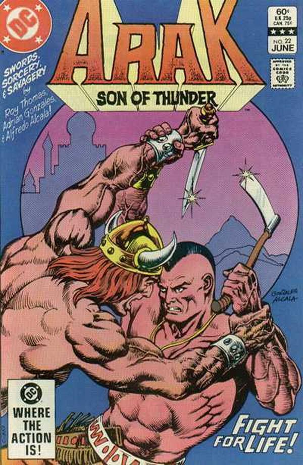 Arak / Son of Thunder #22 cover